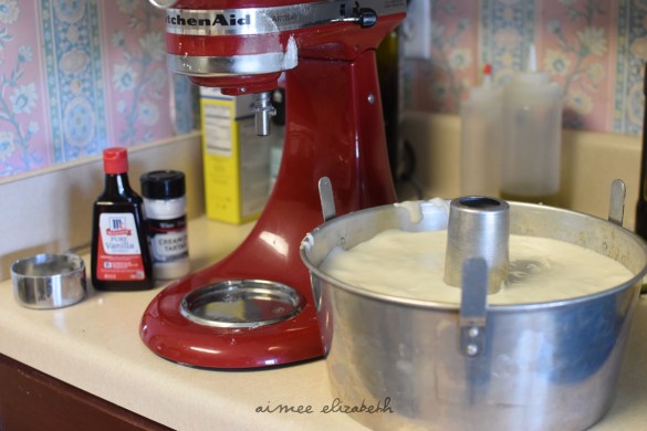 tastybite-angel-food-resize8