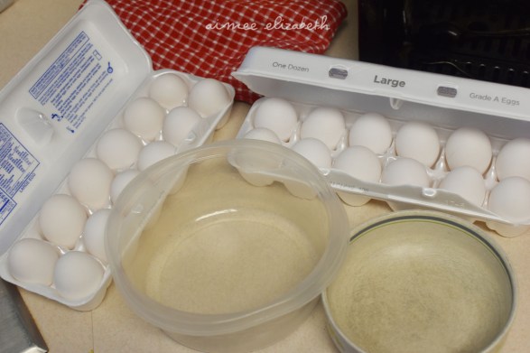 tastybite-angelfood-resize1