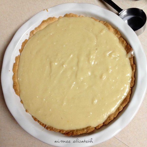 tastybite-coconutcream-resize5