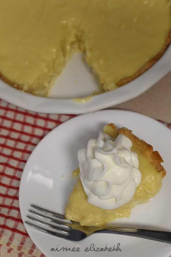 tastybite-coconutcream-resize6