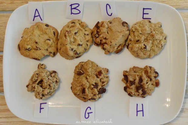 Tastybite-chocolatechiptestresize-1