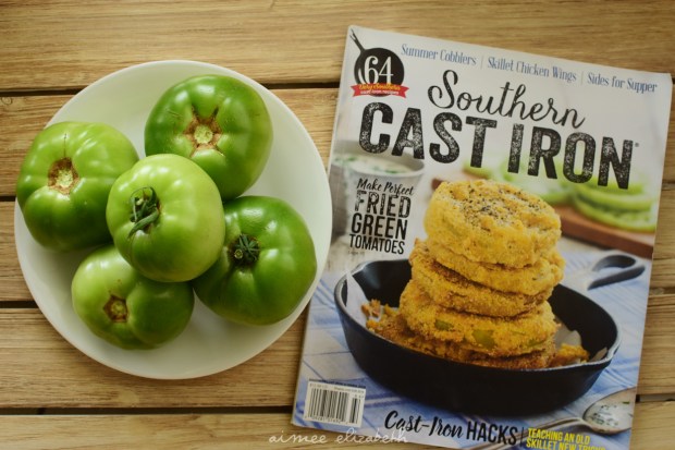 Tastybite-friedgreentomatoes-resize1