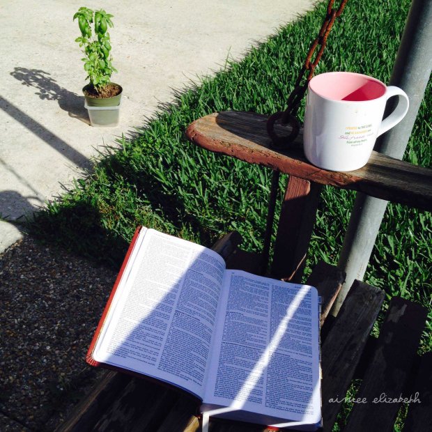 tastybite-basilfriendship-5