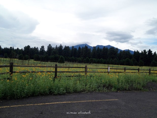 tastybite-christian1