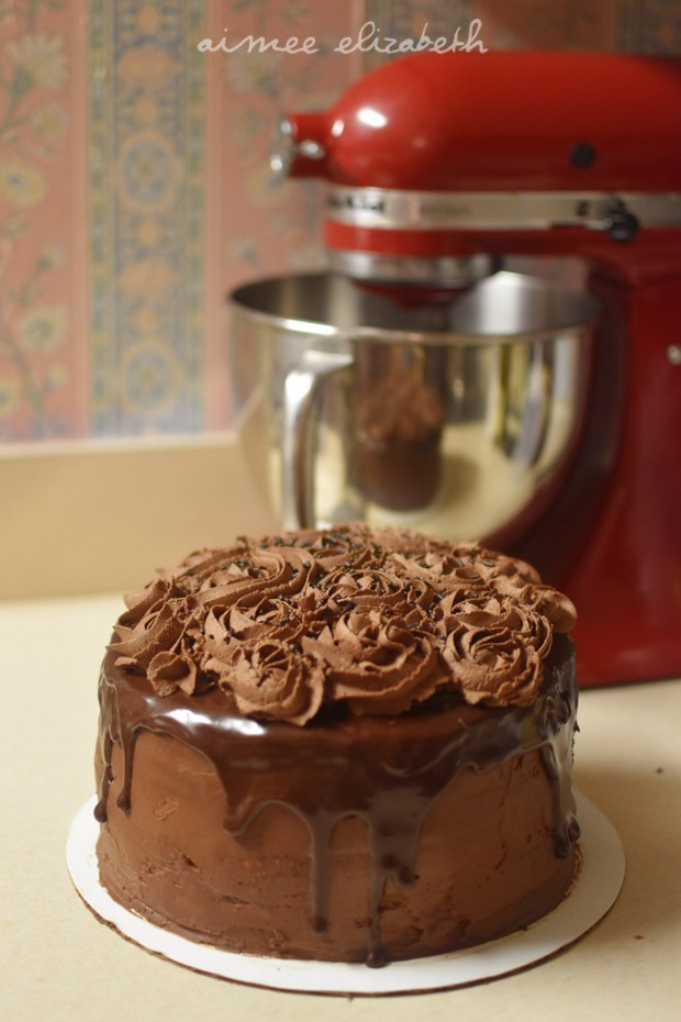 tastybite-dobergeiced1-resize