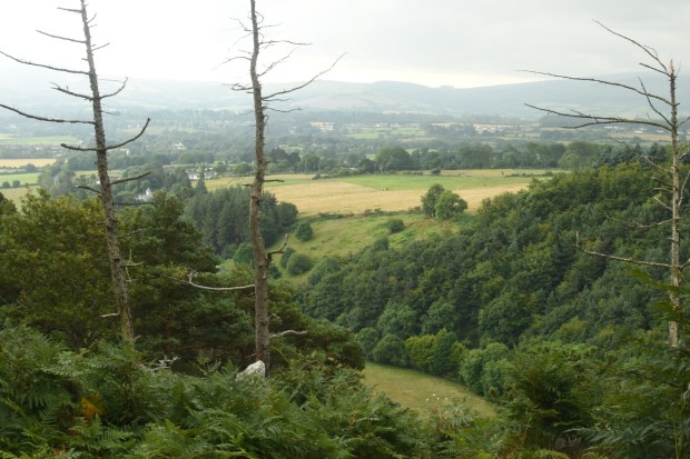 wicklow DSC_0649 -wicklowresize1