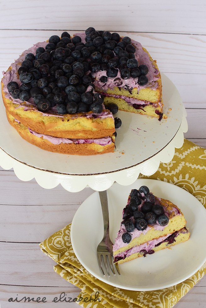 low carbblueberry shortcake-resize