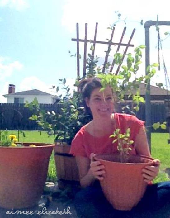 tastybite-new thing1