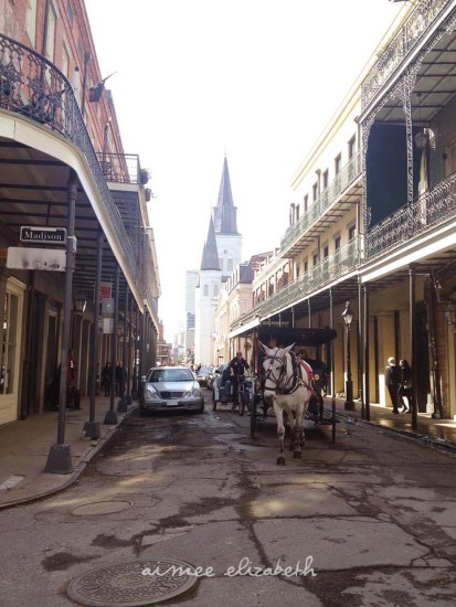 tastybite-neworleans3