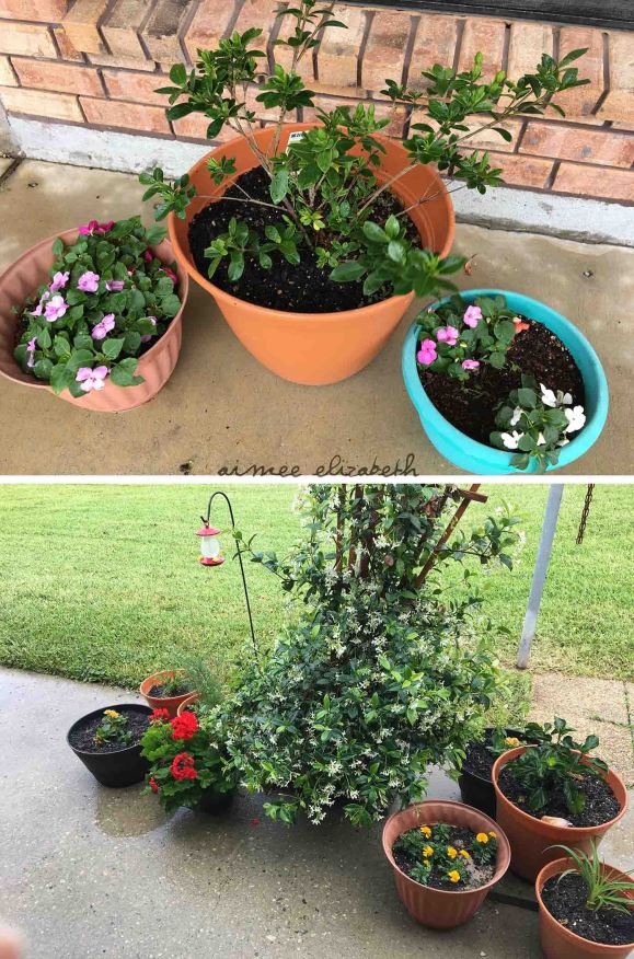 tastybite-caterpillars5