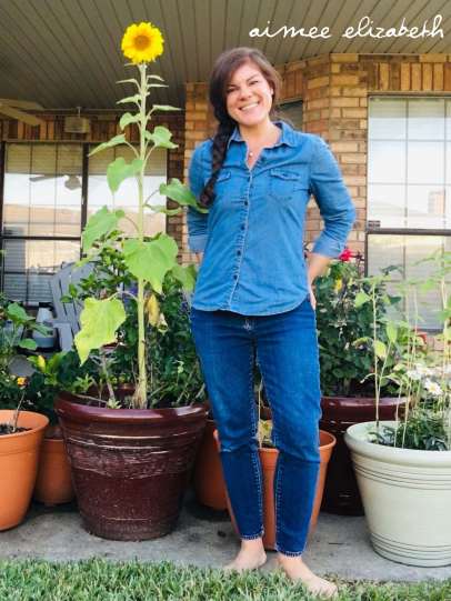 tastybite-tall sunflower1